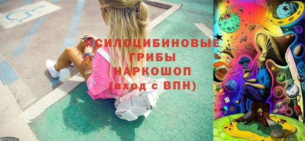 стафф Щучье