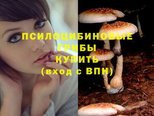 наркотики Щигры