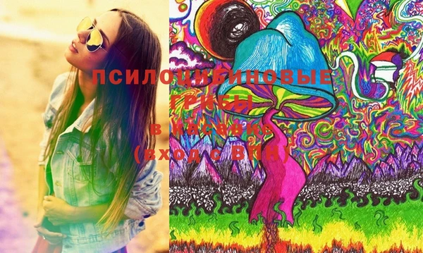 стафф Щучье