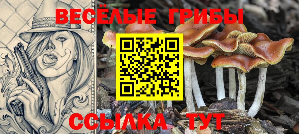 Севастополь  Галлюциногенные грибы Cubensis  Вход с VPN 
