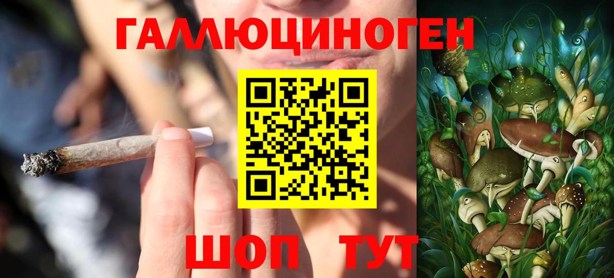 Псилоцибиновые грибы прущие грибы  Псилоцибиновые грибы Psilocybine cubensis  Севастополь 